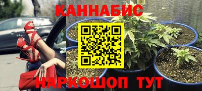 трава Кинель