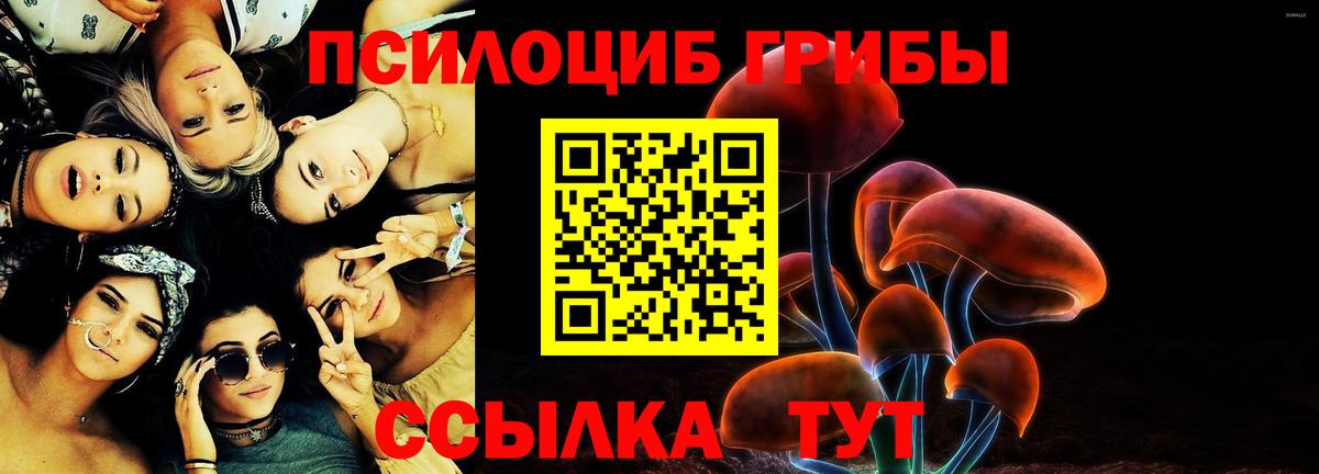 купить закладку  Вход с VPN  Хасавюрт  Галлюциногенные грибы мухоморы 